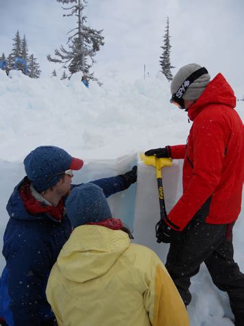 compression test avy|Avalanche Training .